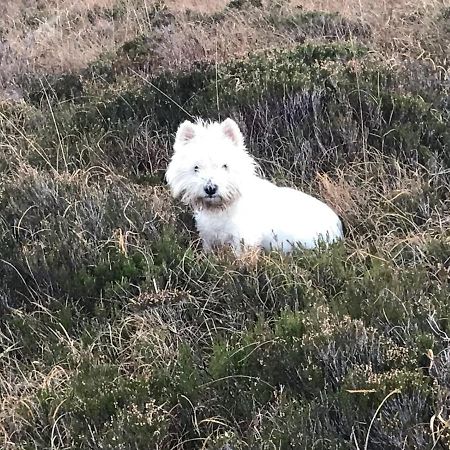 Mo-Dhachaidh B&B Poolewe Eksteriør bilde
